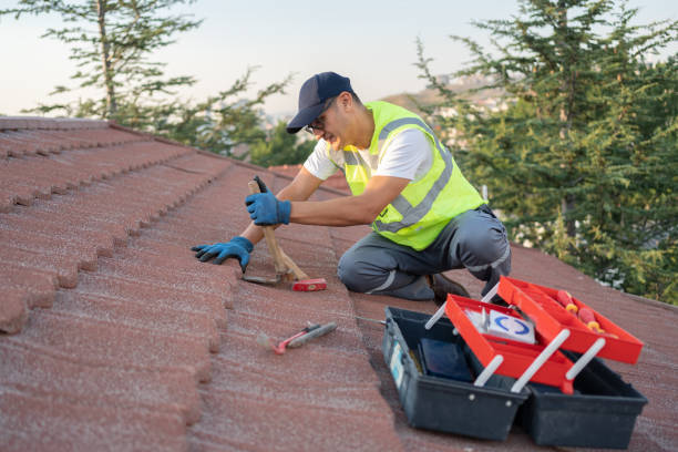 Professional Roofing Contractor in Senoia, GA